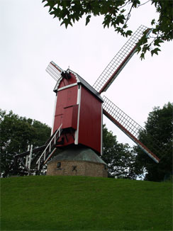 Nieuwe Papegaai風車