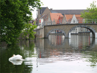ハクチョウと運河