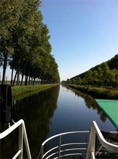 ダムセ・ファールト