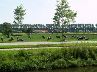ダムセ・ファールトの周りの田園風景
