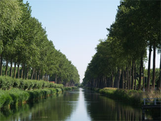 ダムからスルイスの町方面を望む