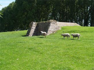 古い水門と羊の親子