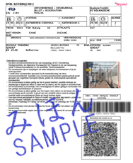 ThalysのEチケット(見本)