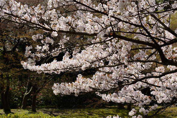 ベンドノ（弁殿）