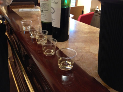 サドヤ・ワインを試飲