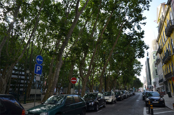 リベルダーデ通り