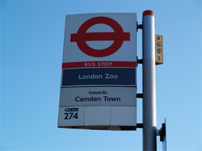 ロンドン動物園前のバス停