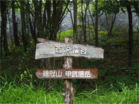 素朴な「西沢渓谷」案内板