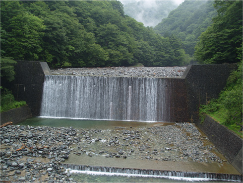 二俣吊橋から東沢渓谷方向を眺める