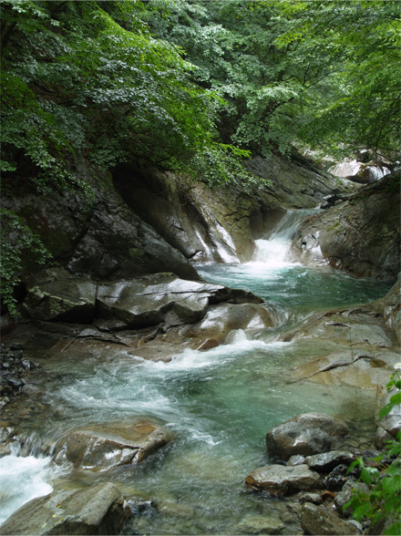 母胎淵