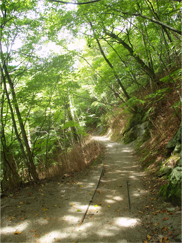 トロッコの線路