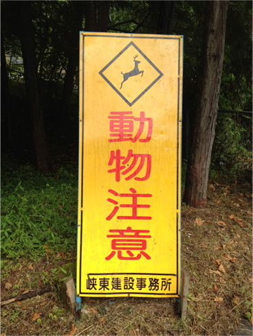 看板「動物注意」