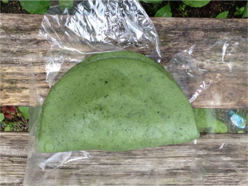 ドライブイン不動小屋名物・よもぎ餅