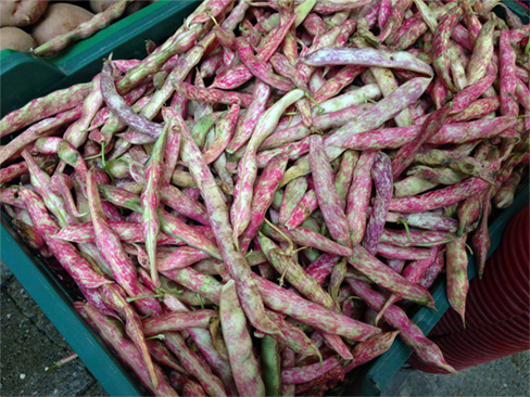 ピンク色の豆