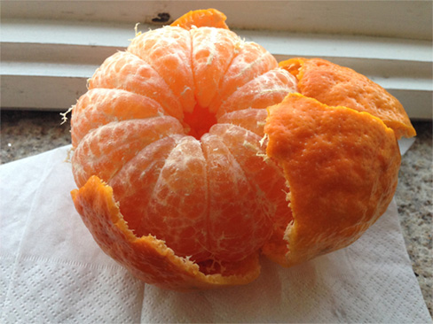 大きなオレンジ