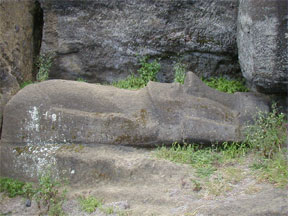 切り出し中のモアイ