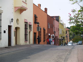 ブーゲンビリア