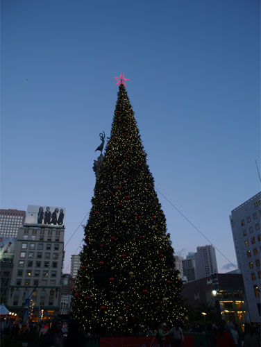 ユニオン・スクエアのクリスマスツリー